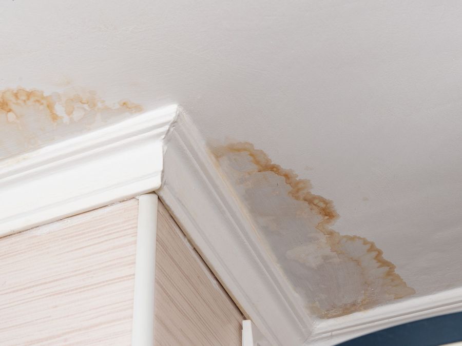 Brown water staining spreading across a painted ceiling and cornice